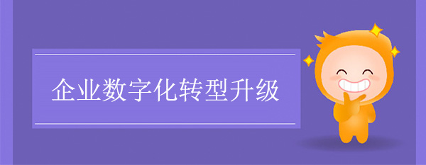 企業(yè)數(shù)字化轉(zhuǎn)型升級(jí)