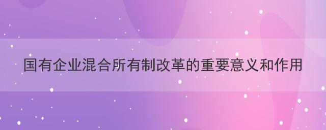 國(guó)有企業(yè)混合所有制改革的重要意義和作用