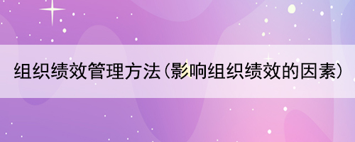 組織績效管理方法(影響組織績效的因素)