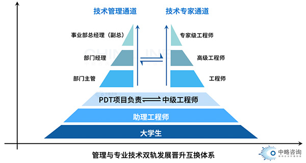 雙軌(管理與專業(yè)技術)晉升互換機制