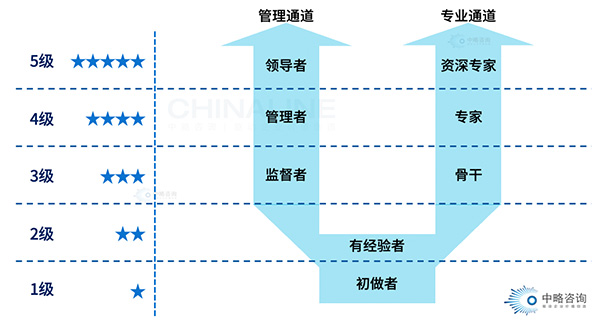 職業(yè)發(fā)展通道理論