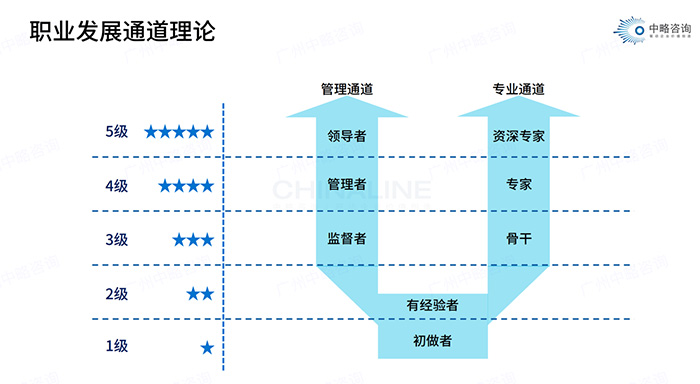 職業(yè)發(fā)展通道理論